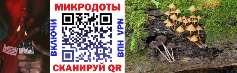 Псилоцибиновые грибы Magic Shrooms  Ленинск 